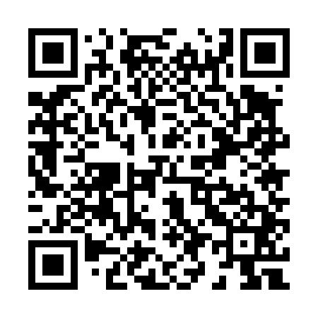 QR code for X95441