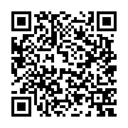 QR code for X954745