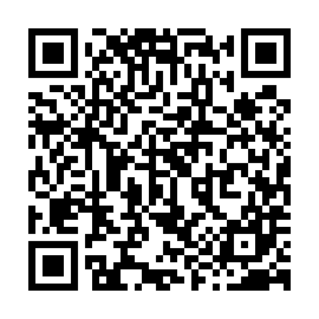 QR code for X95587