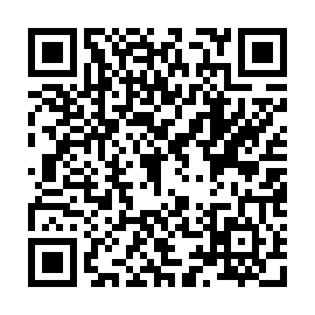 QR code for X956042
