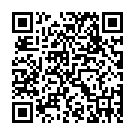 QR code for X95817