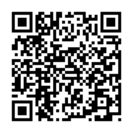 QR code for X958901