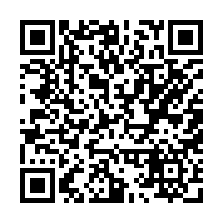 QR code for X95987