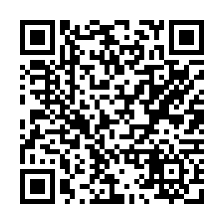 QR code for X96066
