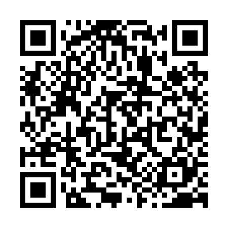 QR code for X96225