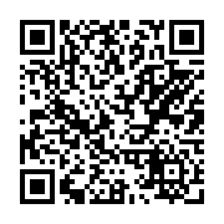 QR code for X96646