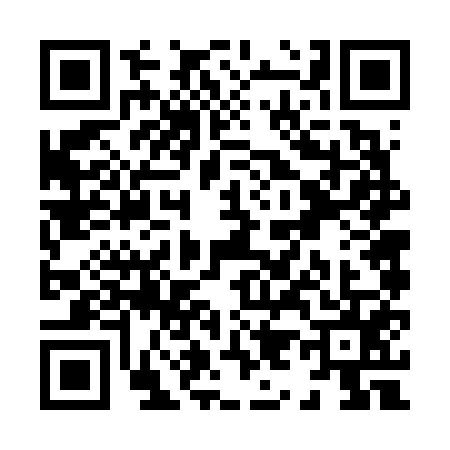 QR code for X966559
