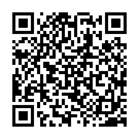 QR code for X98233