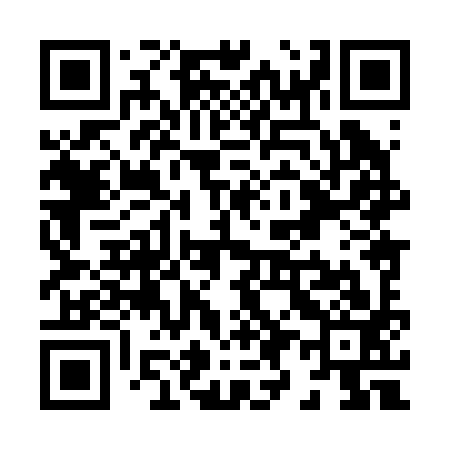 QR code for X98293