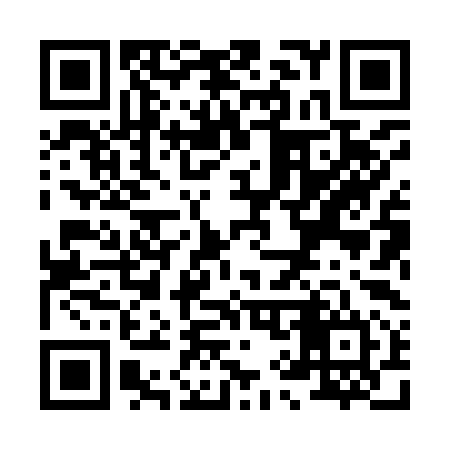 QR code for X98994