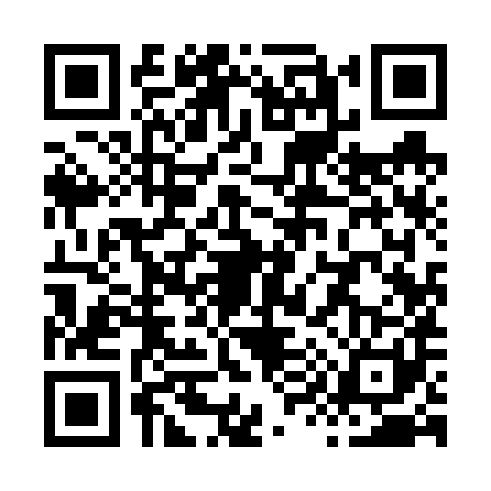 QR code for X996819