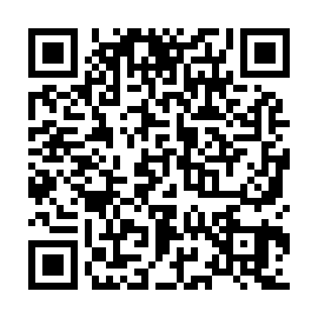 QR code for X999218