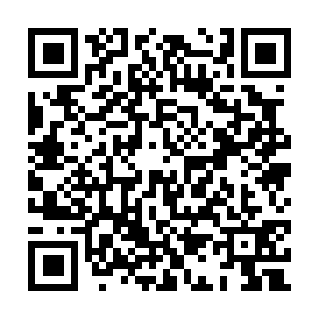 QR code for XA10313