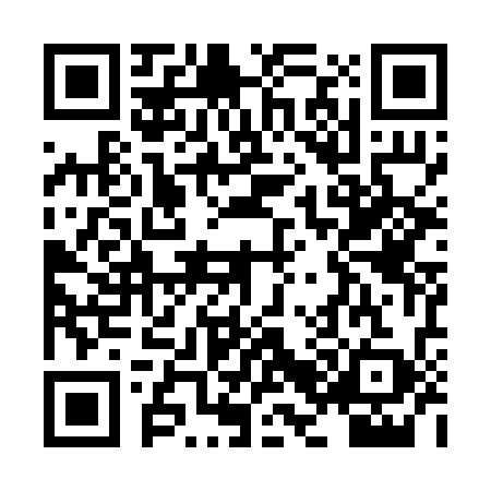 QR code for XB92393