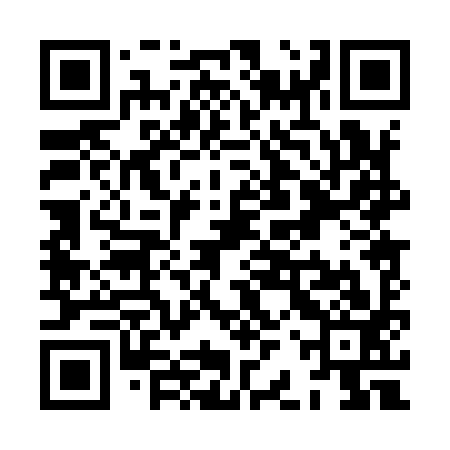 QR code for XBP993