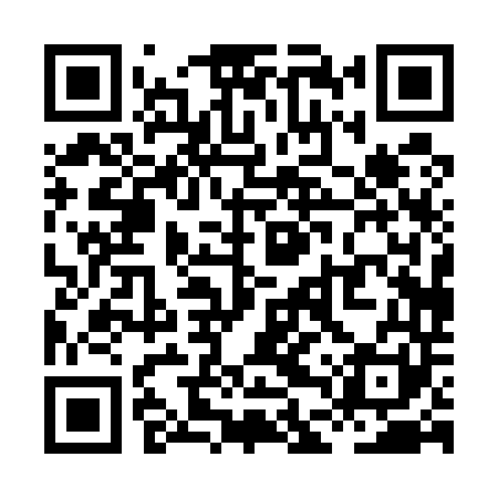 QR code for XDP541