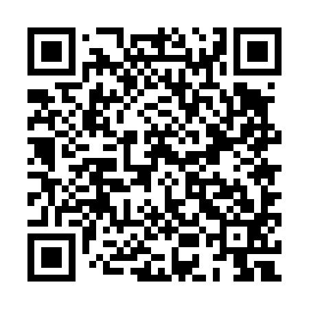 QR code for XEE493