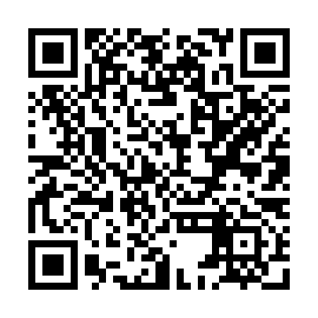 QR code for XEF393