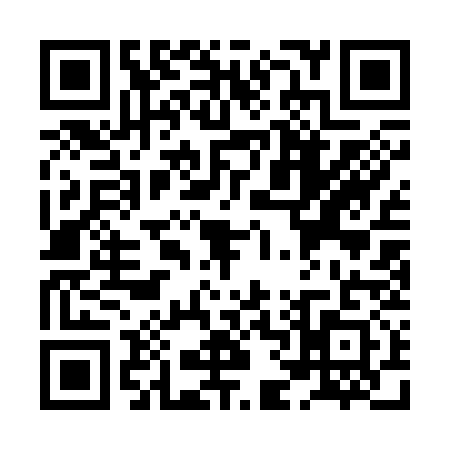 QR code for XF13317