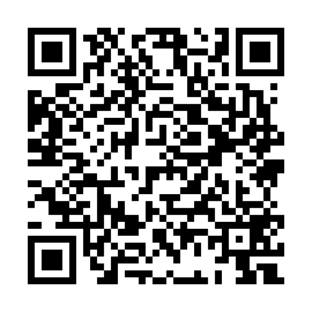 QR code for XF96595