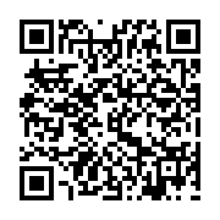 QR code for XFJ333