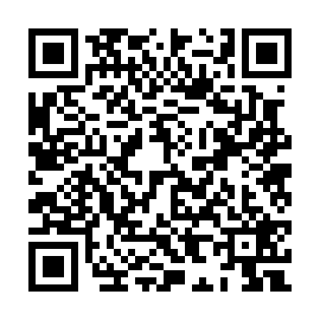 QR code for XH20295
