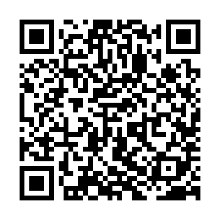 QR code for XHV389