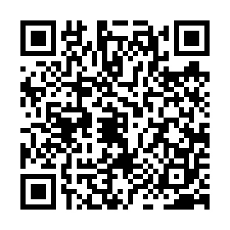 QR code for XI46529