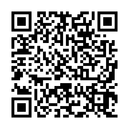 QR code for XI95029
