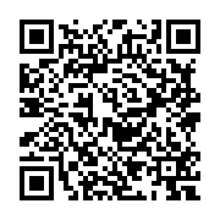QR code for XI98133