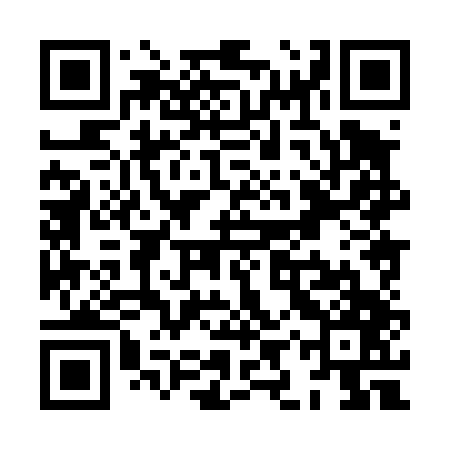 QR code for XIX447