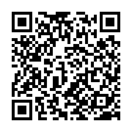 QR code for XJ6729
