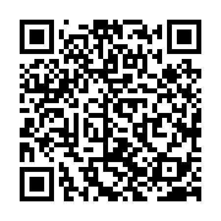 QR code for XJX239
