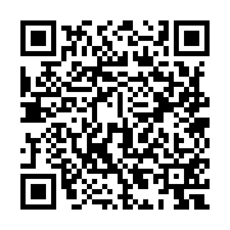 QR code for XL39513