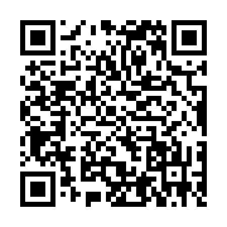 QR code for XL55335