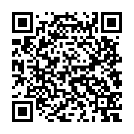 QR code for XLF533
