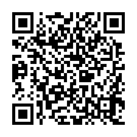 QR code for XLZ398