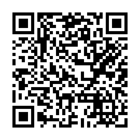 QR code for XNI385