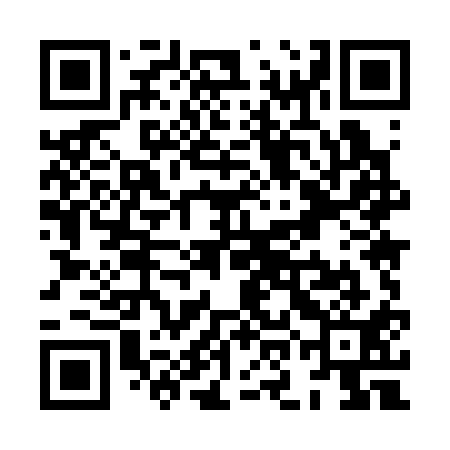 QR code for XOM311