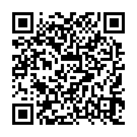 QR code for XTI313