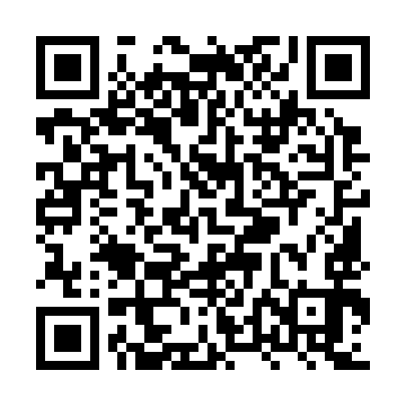 QR code for XTM393