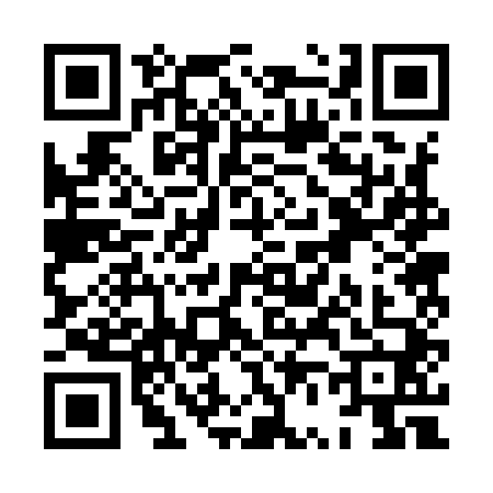 QR code for XV29404