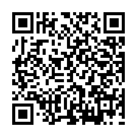 QR code for XV93384