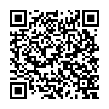 QR code for XVO376