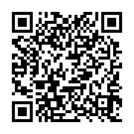 QR code for XXL313