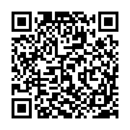 QR code for XYJ397