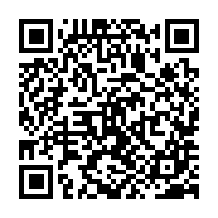 QR code for XYN387