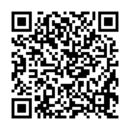 QR code for XZ3876