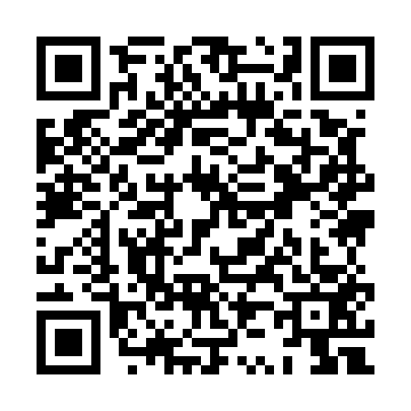 QR code for XZ95533