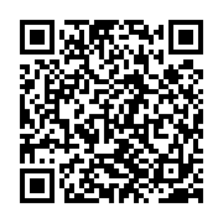 QR code for XZI533